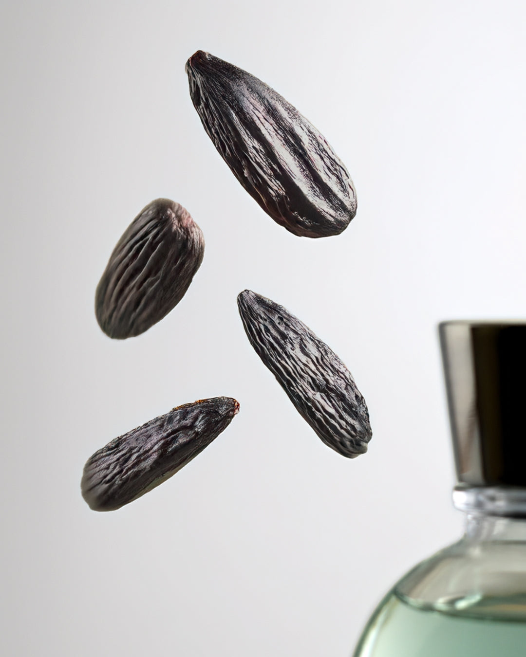 Tonka Bean