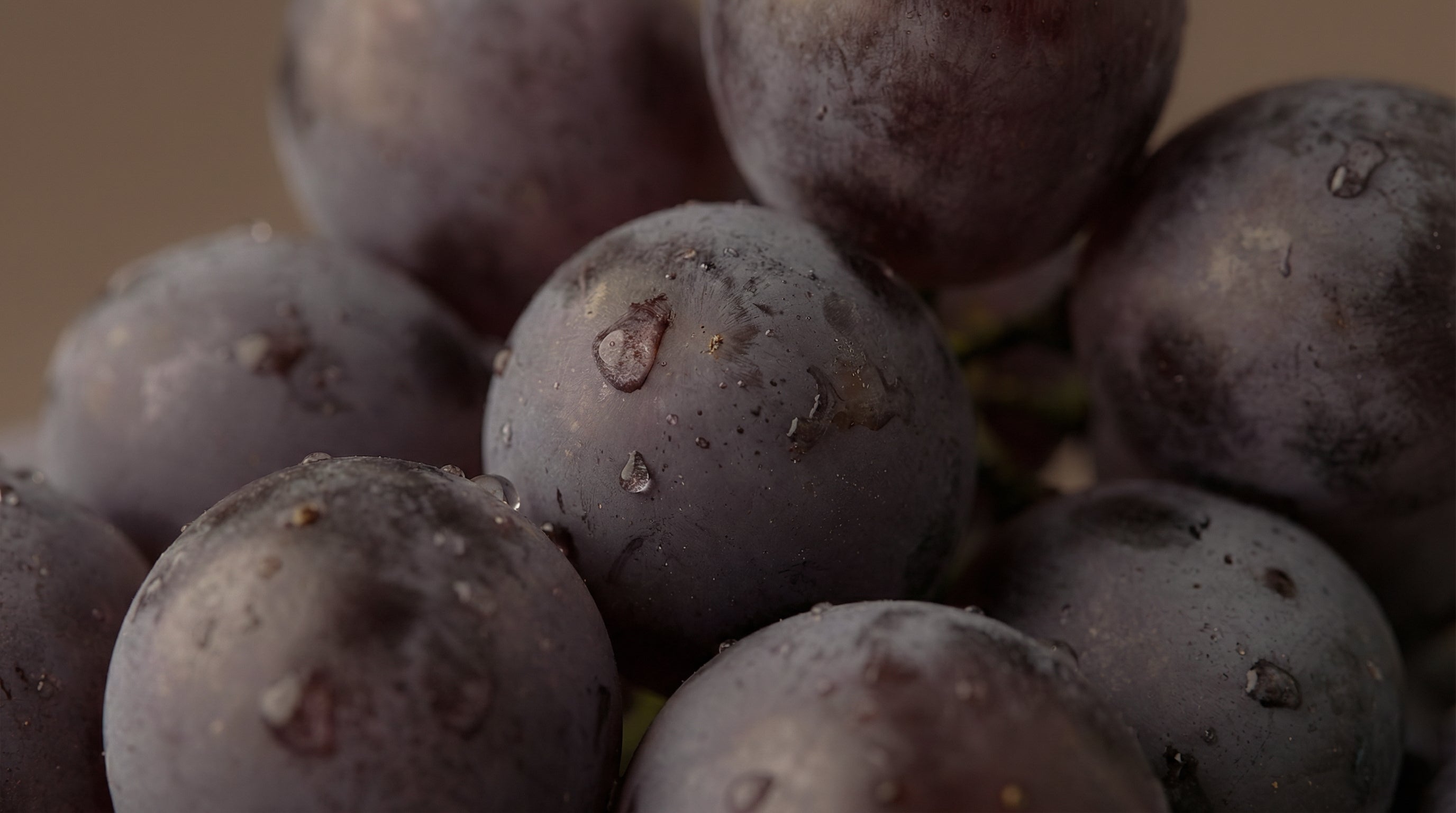 Grapes_-_Cognac_Oil.jpg